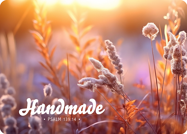 XL-Postkarte Big Blessing - Handmade (Gräser) XL-Postkarte Big Blessing - Handmade (Gräser)