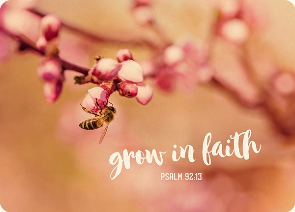 XL-Postkarte Big Blessing - Grow in faith