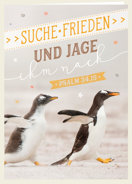 Faltkarte - Suche Frieden (Pinguine) Faltkarte - Suche Frieden (Pinguine)