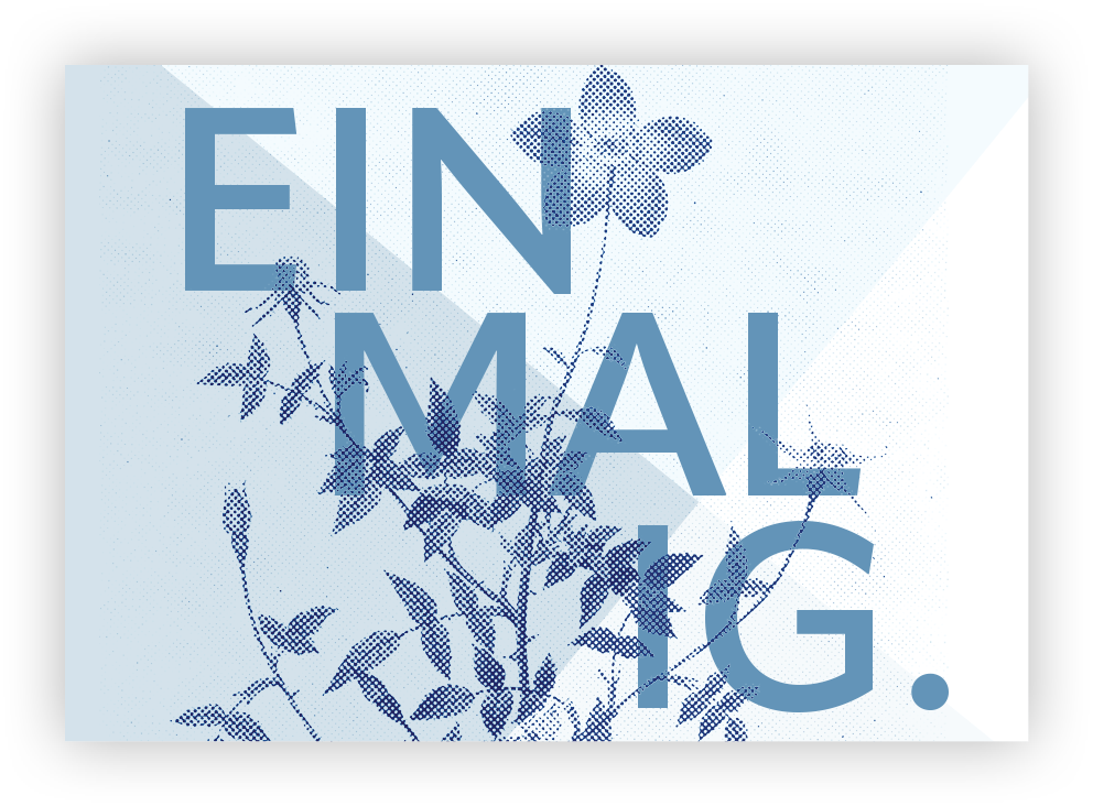 Mini - Einmalig.