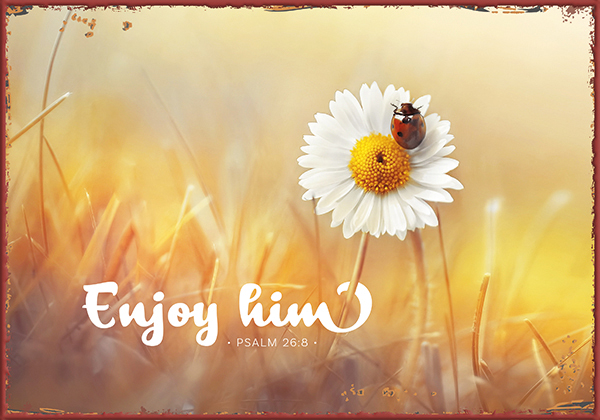 Metallschild klein - Enjoy him (Marienkäfer) Metallschild klein - Enjoy him (Marienkäfer)