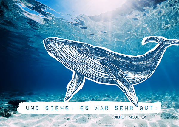 Postkarte - Wal