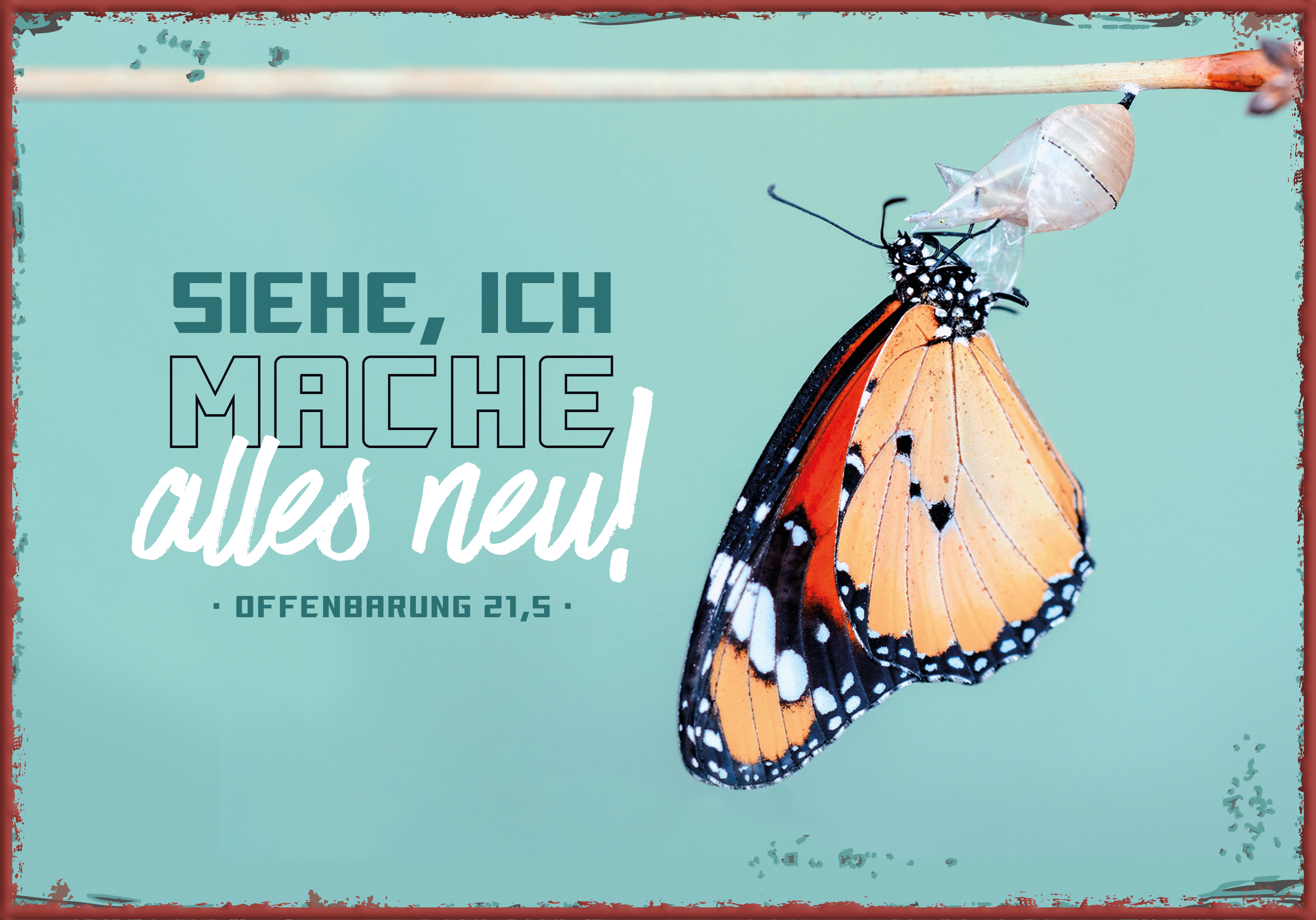 Metallschild klein - Jahreslosung 2026 - Schmetterling