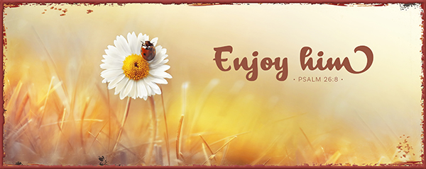 Metallschild lang - Enjoy him (Marienkäfer) Metallschild lang - Enjoy him (Marienkäfer)