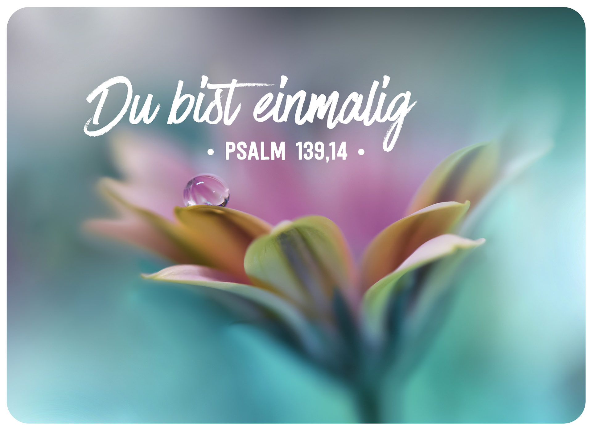 XL-Postkarte Big Blessing - Du bist einmalig (Blume)