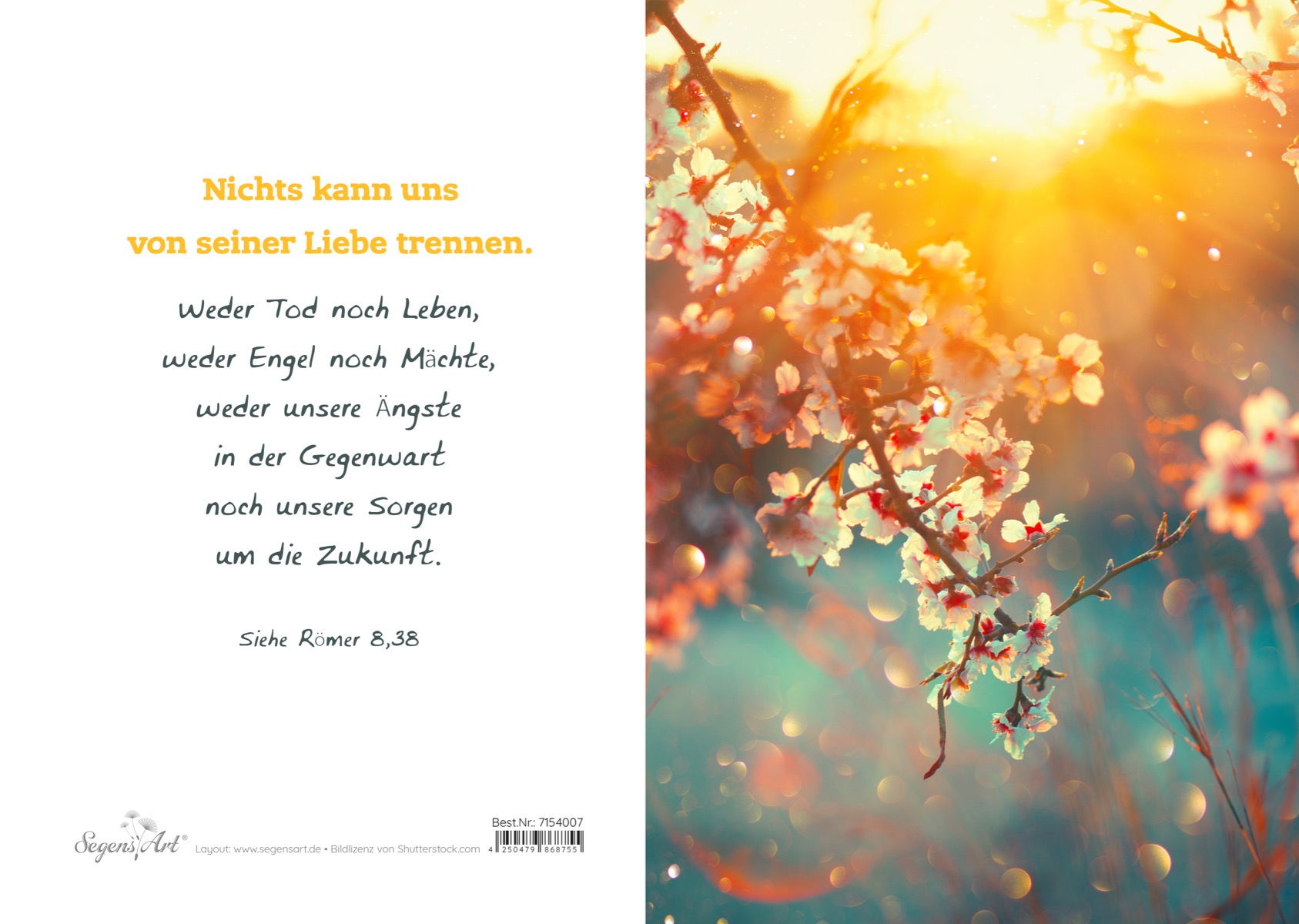 Urkunde – Konfirmation – Blumen (Licht) Urkunde – Konfirmation – Blumen (Licht)