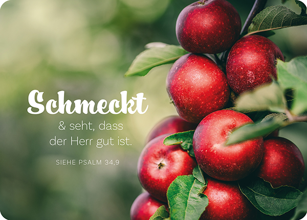 XL-Postkarte Big Blessing - Schmeckt und seht (Äpfel) XL-Postkarte Big Blessing - Schmeckt und seht (Äpfel)