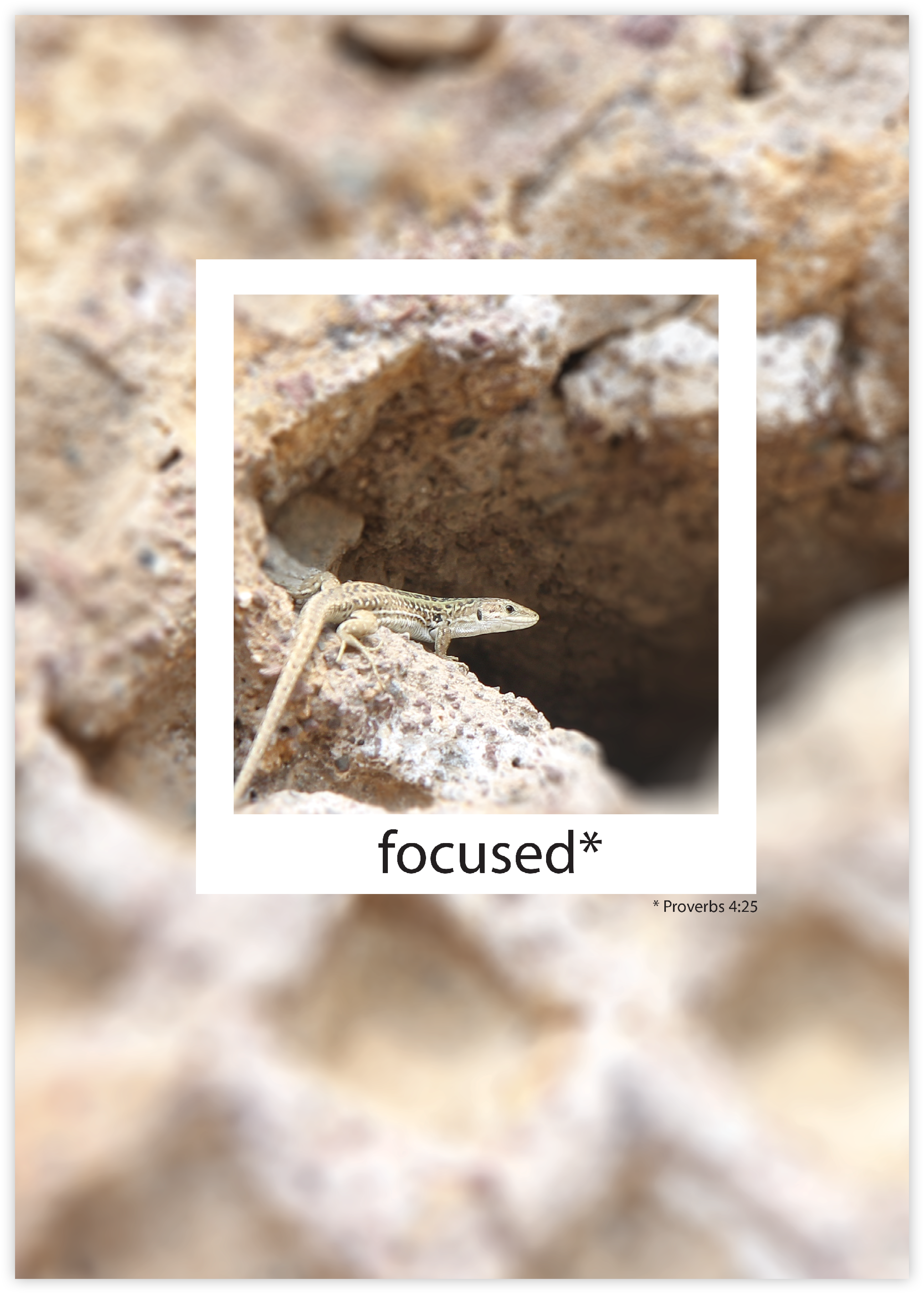 Poster – focused* Poster - focused*