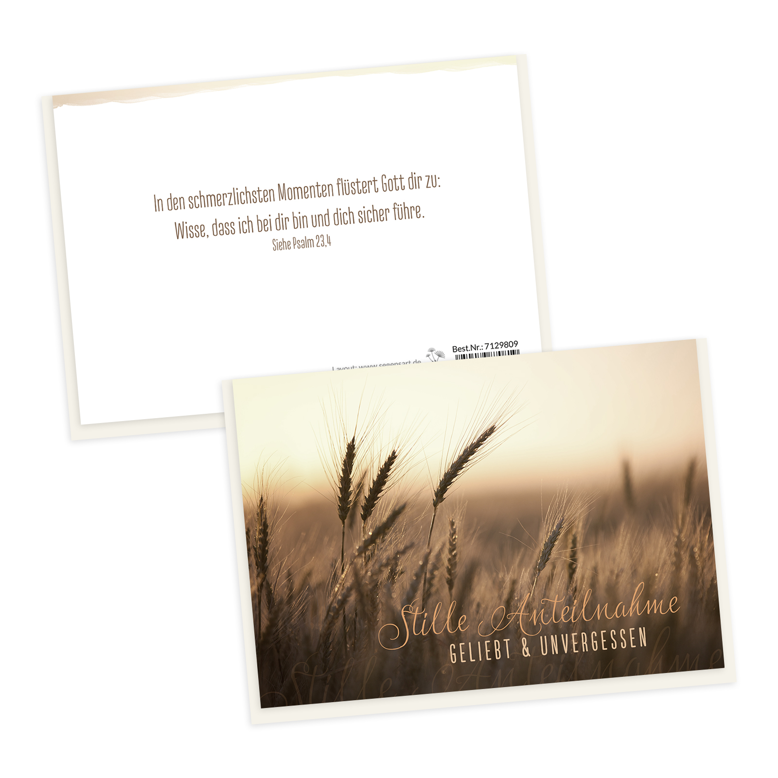 Faltkarte - Stille Anteilnahme (Gräser)