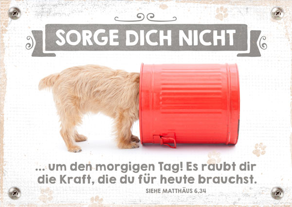 Postkarte - Sorge dich nicht (Hund) Postkarte - Sorge dich nicht (Hund)