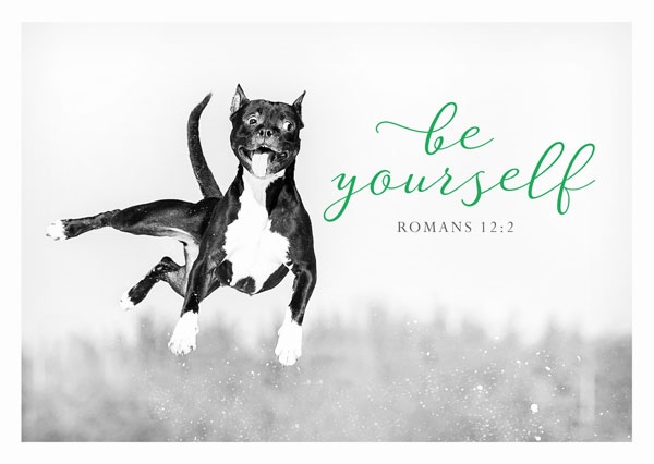 Postkarte Black & White - Be yourself Postkarte Black & White - Be yourself