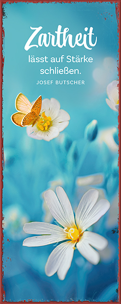 Metallschild lang - Zartheit (Schmetterling) Metallschild lang - Zartheit (Schmetterling)