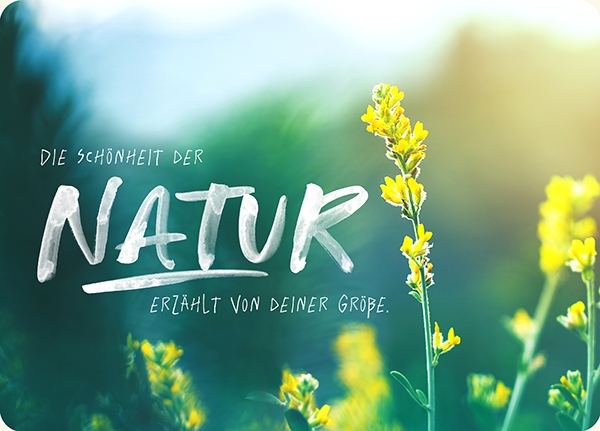 XL-Postkarte Big Blessing - Natur