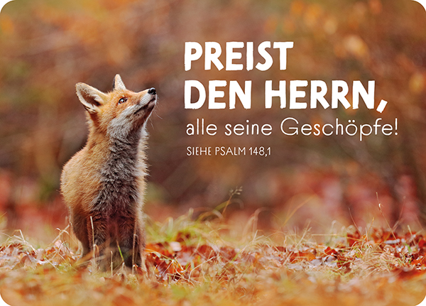 XL-Postkarte Big Blessing - Preist den Herrn