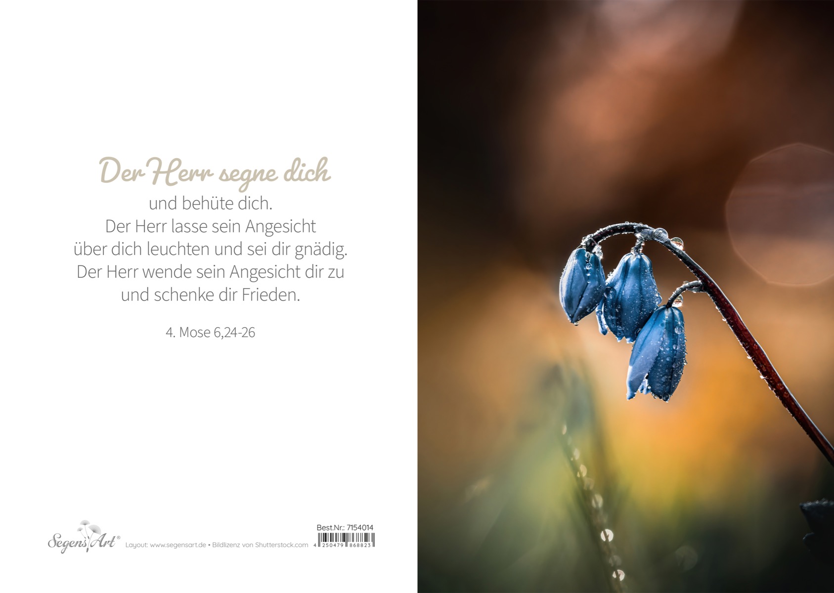 Urkunde – Taufe – Blume (Tropfen) Urkunde – Taufe – Blume (Tropfen)