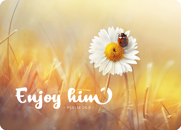 XL-Postkarte Big Blessing - Enjoy him (Marienkäfer) XL-Postkarte Big Blessing - Enjoy him (Marienkäfer)