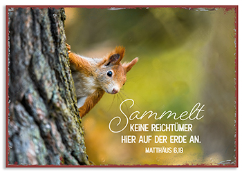Metallschild klein – Sammelt keine Schätze