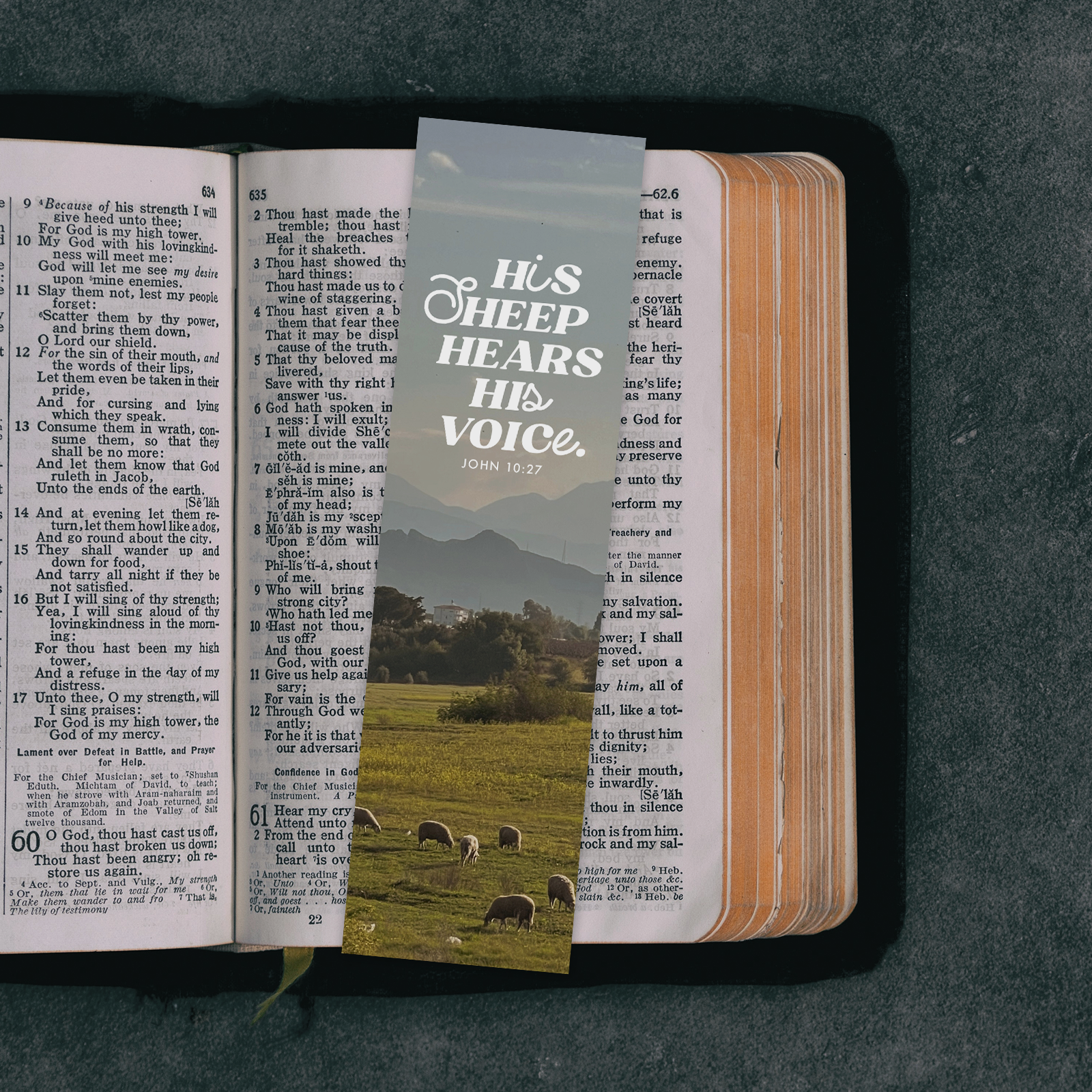 Segenszeichen - His sheep hears his voice