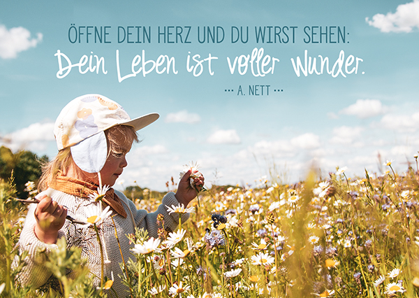 Postkarte - Voller Wunder Postkarte - Voller Wunder