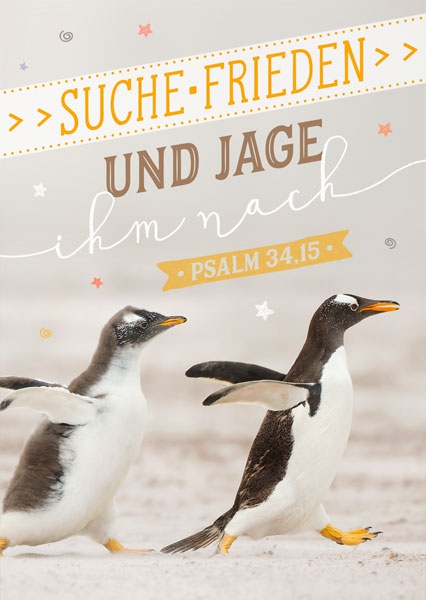 Postkarte - Suche Frieden (Pinguine) Postkarte - Suche Frieden (Pinguine)