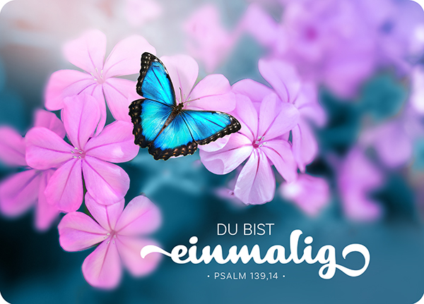 XL-Postkarte Big Blessing - einmalig (Schmetterling) XL-Postkarte Big Blessing - einmalig (Schmetterling)