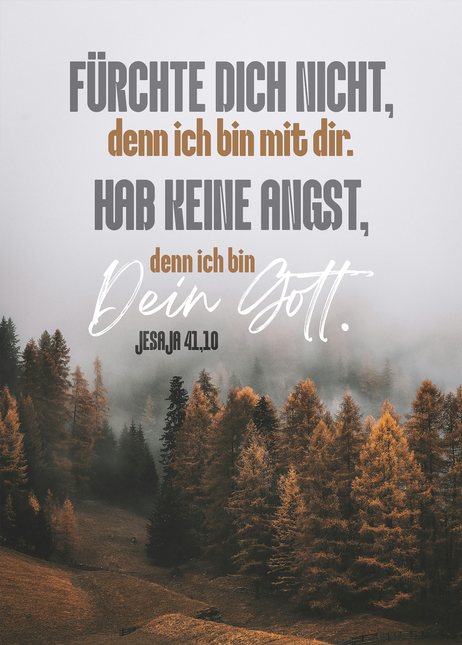 Postkarte - Jahreslosung 2027 - Fürchte dich nicht - Wald im Nebel