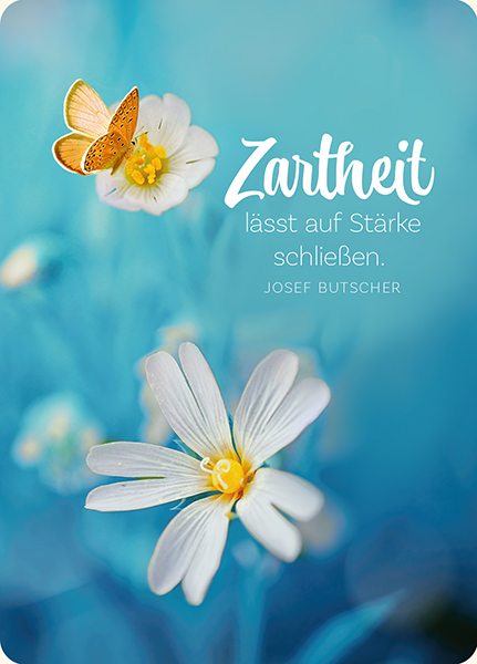 XL-Postkarte Big Blessing - Zartheit (Schmetterling) XL-Postkarte Big Blessing - Zartheit (Schmetterling)