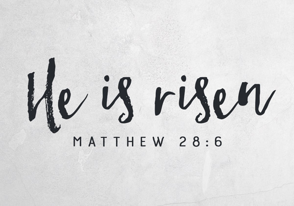 Mini - Risen Mini - Risen