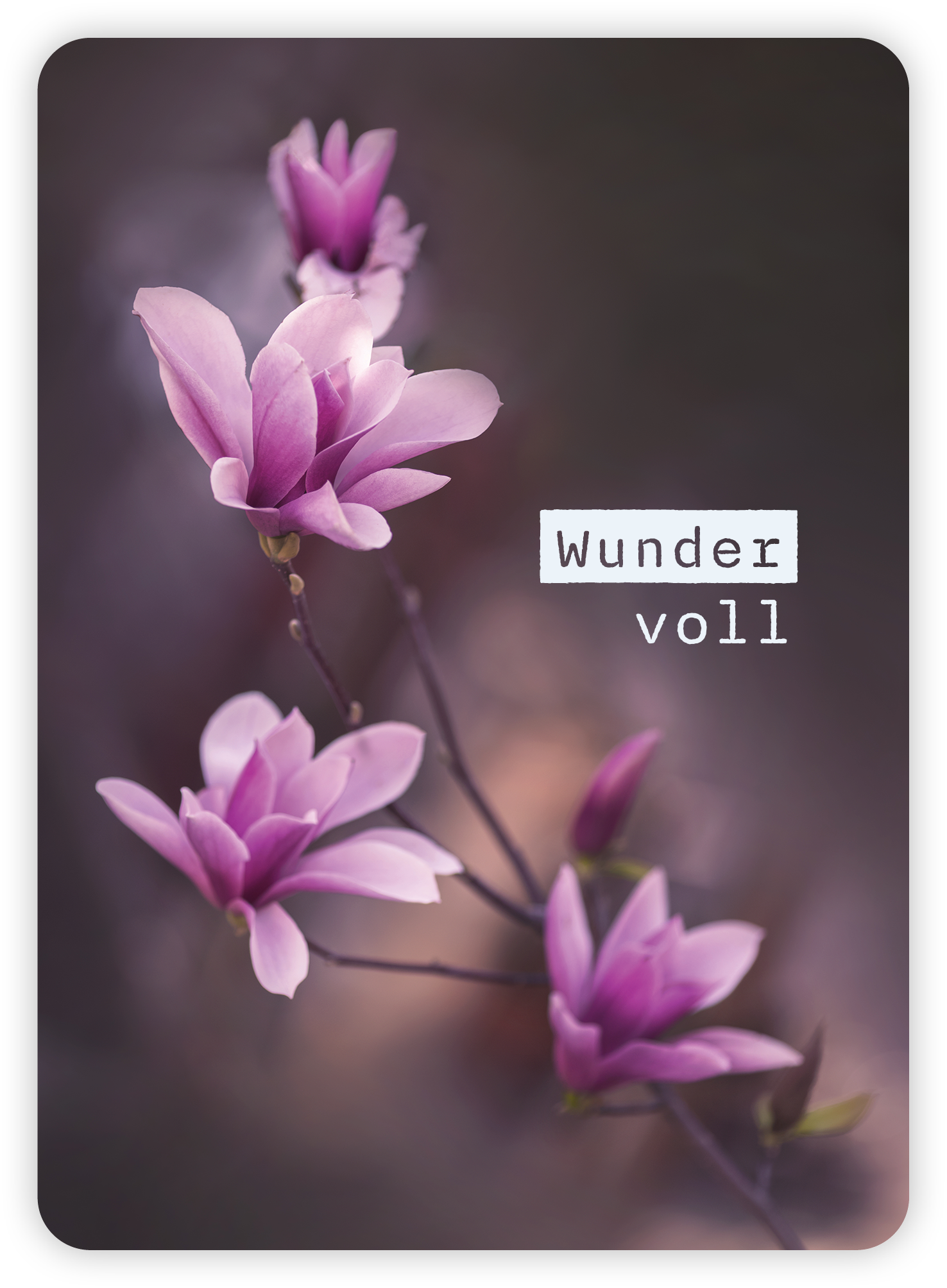 XL-Postkarte Big Blessing – Wundervoll XL-Postkarte Big Blessing - Wundervoll