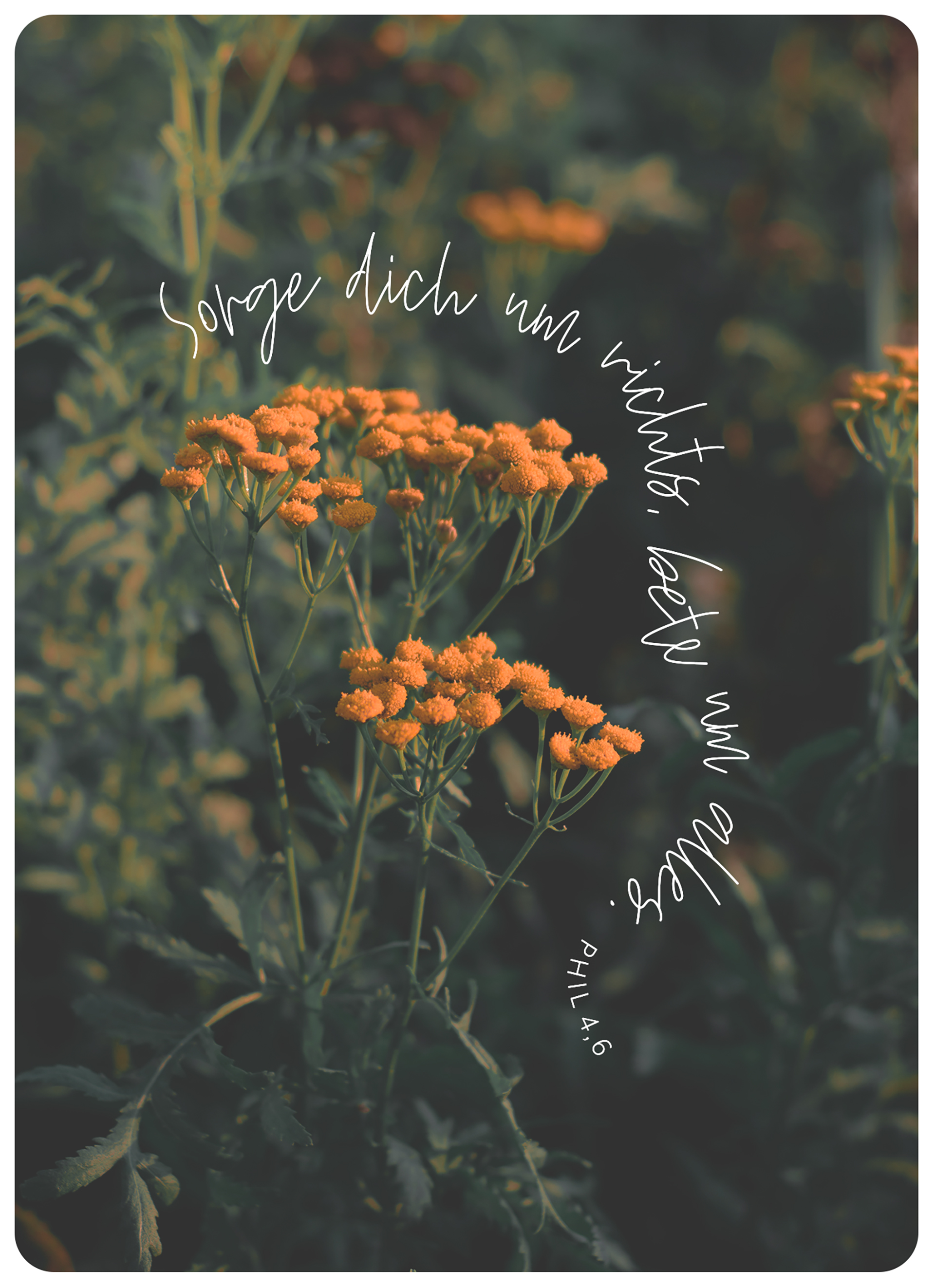 XL-Postkarte Big Blessing - Sorge dich um nichts