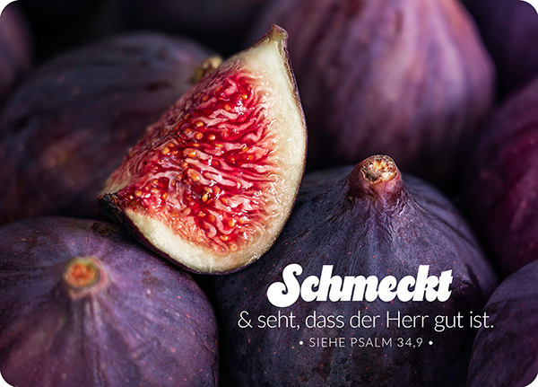 XL-Postkarte Big Blessing - Schmeckt und seht (Feige) XL-Postkarte Big Blessing - Schmeckt und seht (Feige)