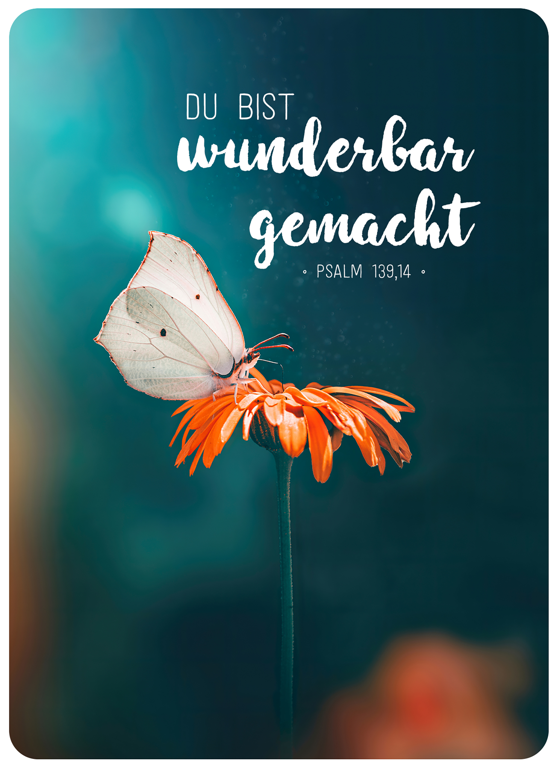 XL-Postkarte Big Blessing - Du bist wunderbar gemacht