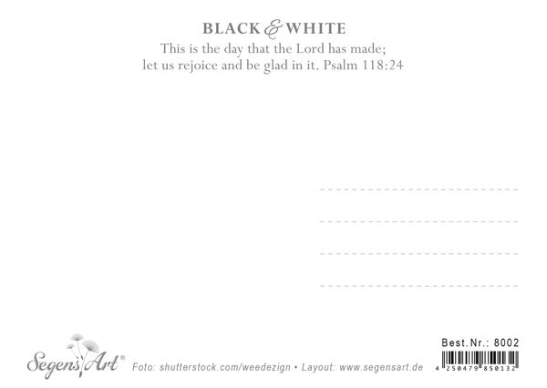 Postkarte Black & White - Celebrate life