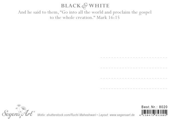 Postkarte Black & White - All the world