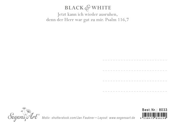 Postkarte Black & White - Ruhe in ihm