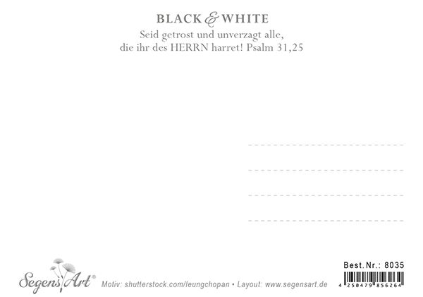 Postkarte Black & White - Getrost