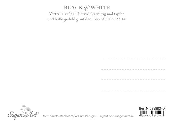 Postkarte Black & White - Warte auf ihn