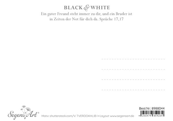 Postkarte Black & White - Haltet zusammen