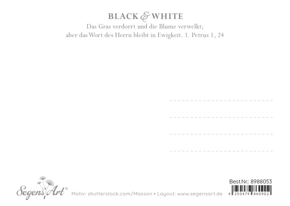 Postkarte Black & White - Sein Wort