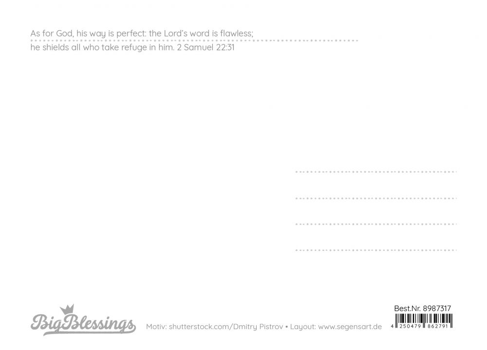 Big Blessing Postkarte – His way is perfect
